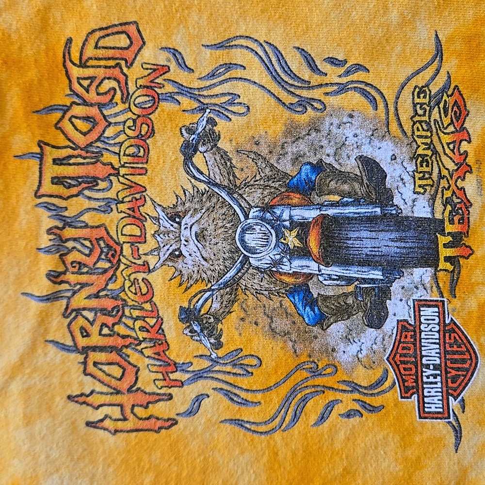 Harley Davidson Kids  Horny Toad  T Shirt Sz S - Picture 6 of 7